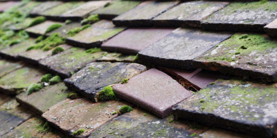 Peasemore roof repair costs